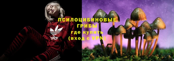 мяу мяу кристалл Горняк