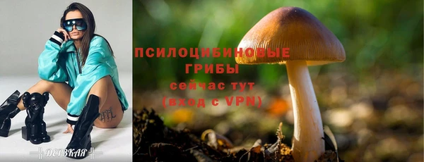 мдма Горно-Алтайск