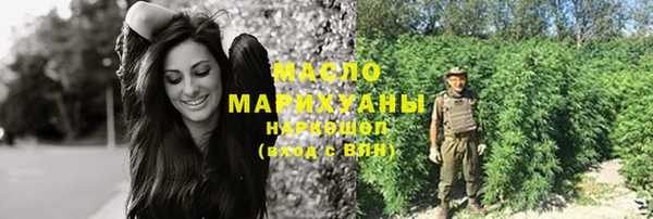 спиды Вяземский